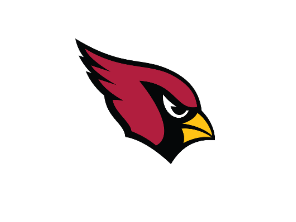 Year End Highlight: Arizona Cardinals